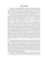 So sanh hiệu quả của sentram với ampicilin kết hợp gentamicin trong điều trị viêm phổ ở trẻ em 