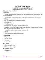 Giáo án Sinh học 8 bài 39: Bài tiết nước tiểu