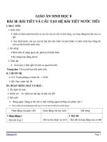 Giáo án Sinh học 8 bài 38: Bài tiết và cấu tạo hệ bài tiết nước tiểu