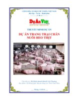 Dự án trang trại chăn nuôi heo thịt tỉnh vĩnh phúc 