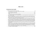 Đầu tư phát triển ngành công nghiệp tỉnh Nghệ An giai đoan 2006-2015