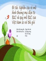 slide nghiên cứu về thương mại điện tử b2c và quy mô b2c của việt nam so với thế giới   môn thương mại điện tử 