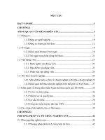 Nghiên cứu động cơ và trở ngại khi tham gia thể thao chuyên nghiệp của vận động viên một số đội tuyển tập huấn tại trung tâm huấn luyện thể thao quốc gia TP Hồ Chí Minh