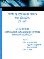 BÁO CÁO CHUYÊN ĐỀ PHÁT THẢI CÁC HỢP CHẤT LƯU HUỲNH BAY HƠI TRONG Ủ PHÂN TỪ CHẤT THẢI RẮN ĐÔ THỊ