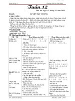 Tuần 12 giáo án lớp 1 soạn theo định hướng phát triển năng lực học sinh năm 2018 2019 –GV  trần thị sương 