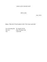 Tiểu luận pháp luật về doanh nghiệp tư nhân  thực trạng và giải pháp 