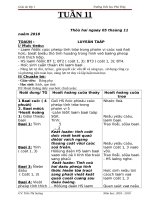 Tuần 11 giáo án lớp 1 soạn theo định hướng phát triển năng lực học sinh năm 2018 2019 –GV  trần thị sương 