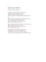 Lời bài hát và hợp âm guitar cánh nhạn hồi âm 