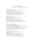 Lời bài hát và hợp âm guitar Căn nhà màu tím