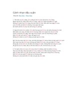 Lời bài hát và hợp âm guitar cánh nhạn đầu xuân 