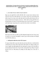 ẢNH HƯỞNG CỦA PIN ĐÃ QUA SỬ DỤNG TẠI HỘ GIA ĐÌNH ĐẾN QUÁ TRÌNH PHÂN HUỶ HỮU CƠ TRONG CHẤT THẢI RẮN ĐÔ THỊ ĐỂ LÀM PHÂN COMPOST