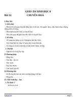 Giáo án Sinh học 8 bài 32: Chuyển hóa