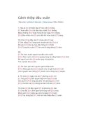 Lời bài hát và hợp âm guitar cánh thiệp đầu xuân 