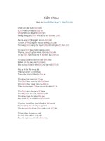 Lời bài hát và hợp âm guitar Cần nhau