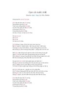 Lời bài hát và hợp âm guitar Cạn cả nước mắt