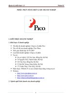 quản trị chiến lược   phân tích chiến lược kinh doanh của công ty cổ phần pico 