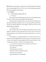 Phân tích ảnh hưởng của nhân tố giá và chất lượng đến tiêu thụ hàng hóa của công ty vissan  nêu phương hướng thúc đẩy tiêu thụ sản phẩm của DN