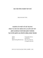 nghiên cứu một số chỉ thị dna phục vụ cho xác đinh con lai giữa bò tót (bos gaurus) và bò nhà (bos taurus) tại vườn quốc gia phước bình, ninh thuận 