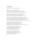 Hợp âm guitar cây bàng 