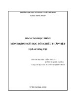 Báo cáo đối chiếu ngôn ngữ lịch sử hình thành tiếng VIệt