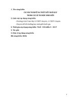 Các bài toán về đa thức bất khả quy trong các kì thi học sinh giỏi 