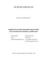nghiên cứu sự phát sinh hình thái in vitro của cây nho (vitis vinifera l ) không hạt 