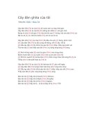 Hợp âm guitar cây đàn ghita của tôi 