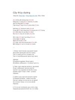 Hợp âm guitar cây thùy dương 