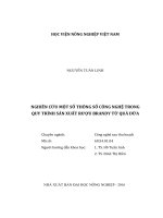 nghiên cứu một số thông số công nghệ trong quy trình sản xuất rượu brandy từ quả dứa 