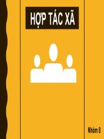 Slide thuyết trình luật 1