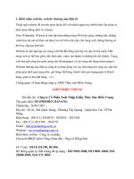 thiết lập kế hoạch marketing điện tử để quảng cáo, giới thiệu sản phẩm đến một thị trường nước ngoài j 