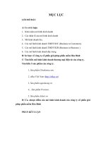 Tìm hiểu mô hình kinh doanh thương mại điện tử của công ty cổ phần giải pháp phần mềm hòa bình 