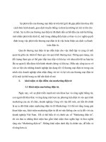 thiết lập kế hoạch marketing điện tử để quảng cáo, giới thiệu sản phẩm đến một thị trường nước ngoài 