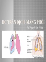 Y3   HC TRÀN DỊCH MÀNG PHỔI  ths nguyễn thị ý nhi
