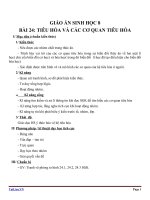 Giáo án Sinh học 8 bài 24: Tiêu hóa và các cơ quan tiêu hóa