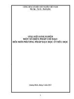 MỘT số BIỆN PHÁP CHỈ đạo đổi mới PHƯƠNG PHÁP dạy học ở TIỂU học 