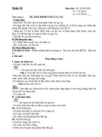 Tuần 10 giáo án chuyên biệt soạn theo định hướng phát triển năng lực học sinh năm 2018 2019 – cô hà 