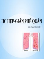 Y3   HC hẹp và giãn phế quản   ths nguyễn thị ý nhi
