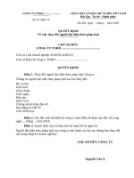 Quyet dinh thay doi nguoi dai dien 