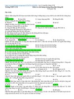 Tkiểm tra chất lượng chương dòng điện không đổi