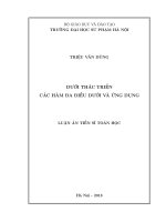 Dưới Thác Triển Các Hàm Đa Điều Dưới Và Ứng Dụng ( LA tiến sĩ toán học)