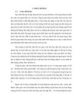 Một số kinh nghiệm trong công tác chủ nhiệm lớp ở trường tiểu học 