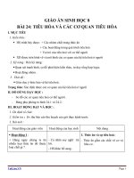 Giáo án Sinh học 8 bài 24: Tiêu hóa và các cơ quan tiêu hóa