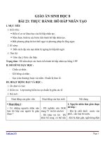 Giáo án Sinh học 8 bài 23: Thực hành hô hấp nhân tạo