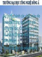 sự ảnh hưởng của enzyme trong quá trình biến đổi màu sắc của sản phẩm.