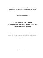 Quản trị rủi ro cho vay tại ngân hàng thương mại cổ phần quân đội chi nhánh thái nguyên 
