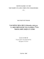 TẠO DÒNG HOA HUỆ (Polianthes tuberosa L.) ĐỘT BIẾN BẰNG TIA GAMMA (60CO) TRONG ĐIỀU KIỆN IN VITRO