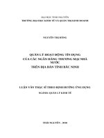 Quản lý hoạt động tín dụng của các ngân hàng thương mại nhà nước trên địa bàn tỉnh bắc ninh 