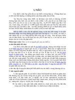 bài giảng bệnh học ngoại khoa u não