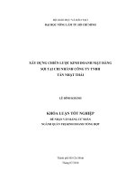 XÂY DỰNG CHIẾN LƯỢC KINH DOANH MẶT HÀNG SỢI TẠI CHI NHÁNH CÔNG TY TNHH TÂN NHẬT THÁI